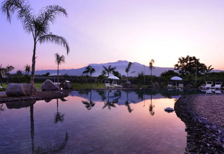 Piscina con riflessi del cielo e palme
